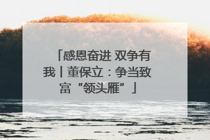 感恩奋进 双争有我丨董保立：争当致富“领头雁”